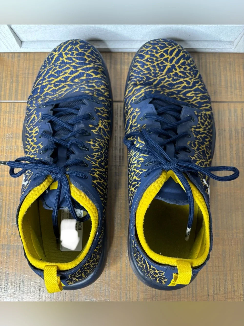 Jordan Trainer 1 Low Michigan Wolverines Mens Size 13 College Navy Yellow GUC